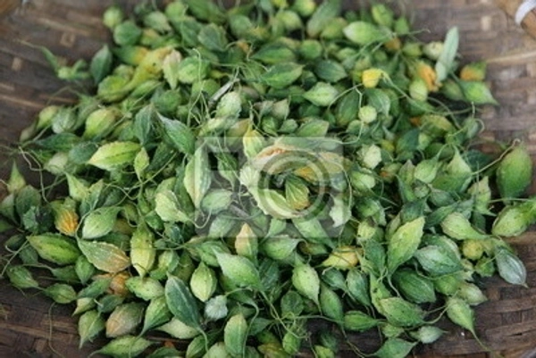 பாவக்காய் (சிறிய) - 500GM