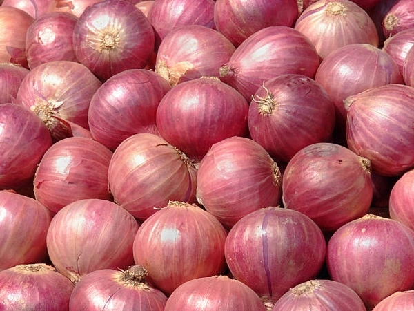 ONION - 500GM