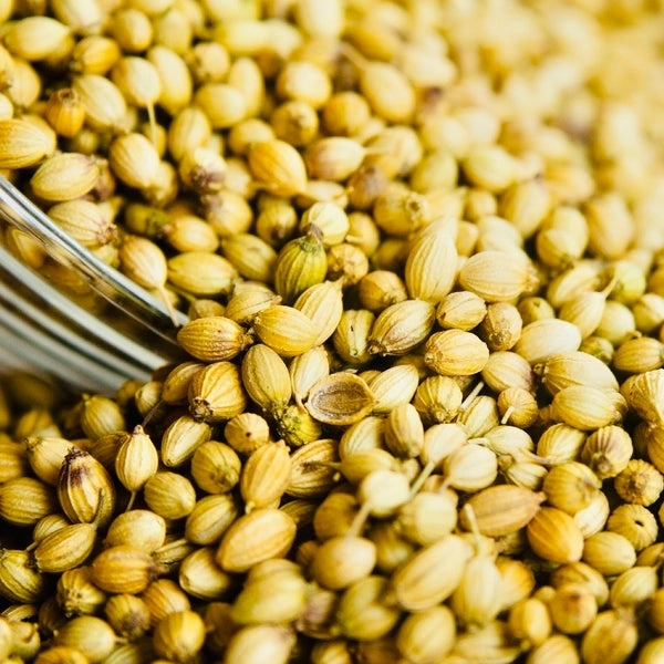 MALLI (CORIANDER) - 500GM