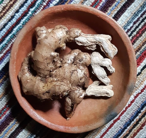 சுக்கு ( DRIED GINGER ) - 100gm
