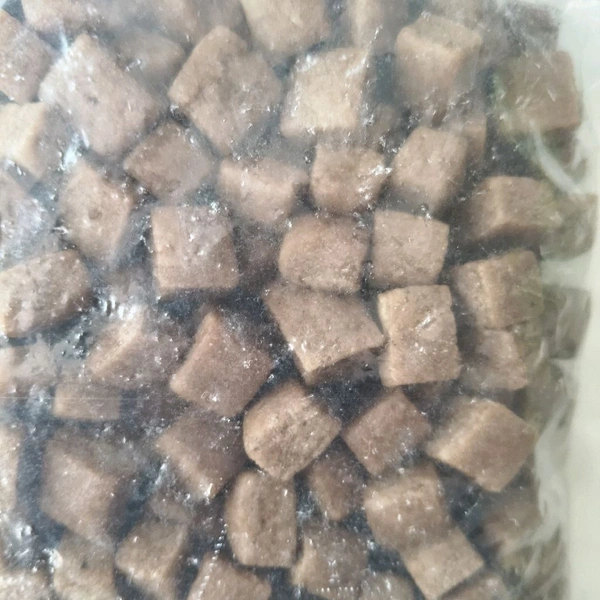 KAYAM KATTI - 100