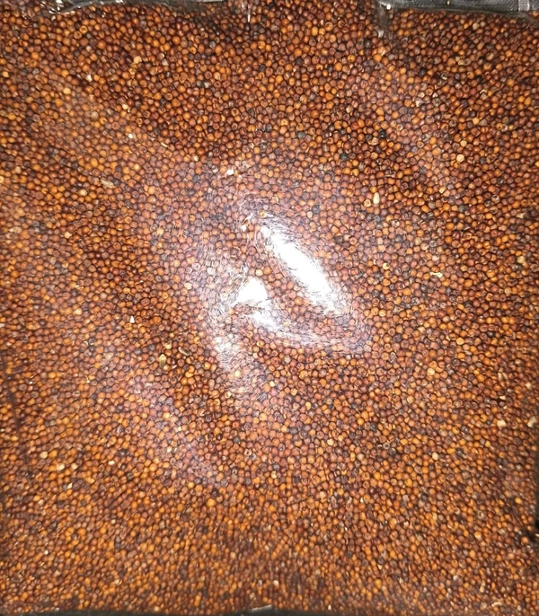 RAGGI - 1KG