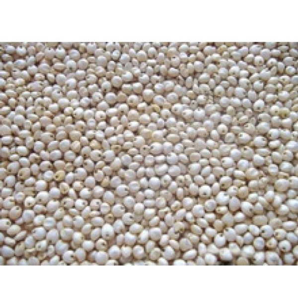 VELLAI CHOLAM - 500 GM