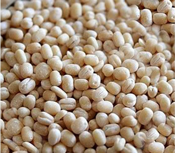 ULUNTHU (LOOSE) - 1 KG