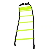 KD COUGAR Cone Marker, Cone Marker Set, Agility Training Fitness Set with 8 Meter Ladder, 20 Pc 6 Inch Cone Marker, Agility Training Equipment