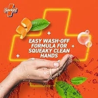 SAVLON HANDWASH 625ML