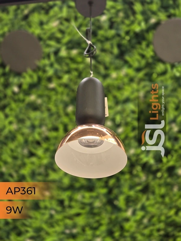 APRA361 9W BK RG Surface Hanging Light