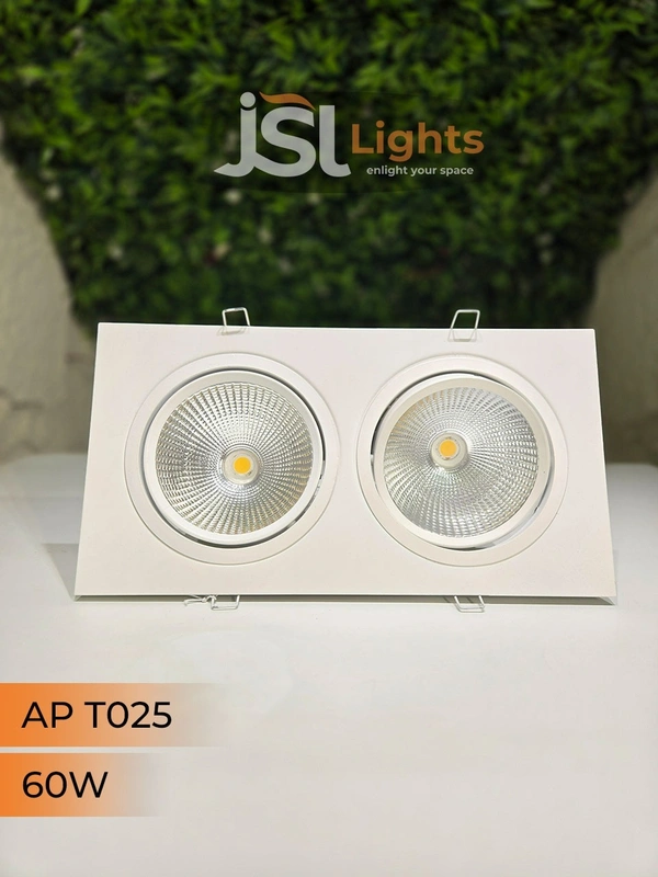 JSL T-025 Double COB (30W+30W) Down Spot Light - 60W