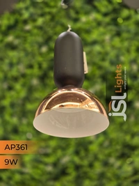APRA361 9W BK RG Surface Hanging Light