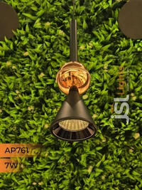 APRA761 7W BK RG 3CCT Surface Hanging Light