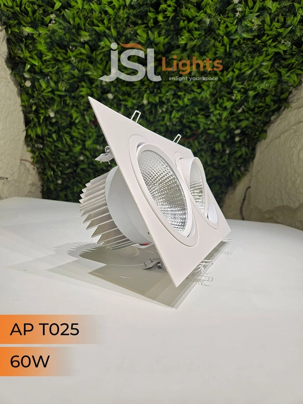 JSL T-025 Double COB (30W+30W) Down Spot Light - 60W