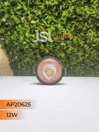 Bridglux & Philips AP 20625 12W Black Deep Recessed COB Downlight RG Reflector - 12W, 3CCT, Black