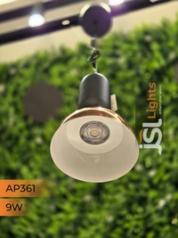 APRA361 9W BK RG Surface Hanging Light