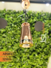 APRA AP 982 12W RG Surface Hanging Light - RG