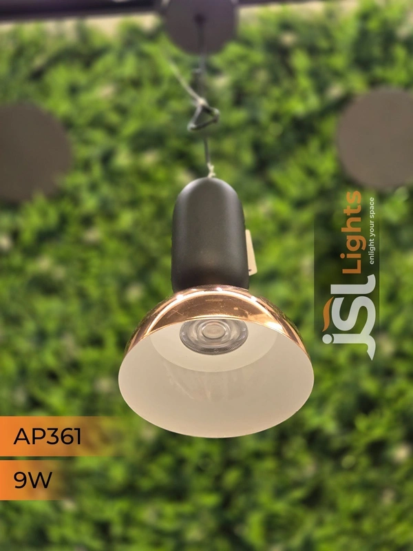 APRA361 9W BK RG Surface Hanging Light