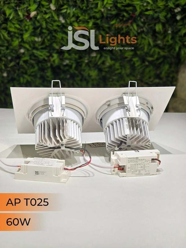 JSL T-025 Double COB (30W+30W) Down Spot Light - 60W