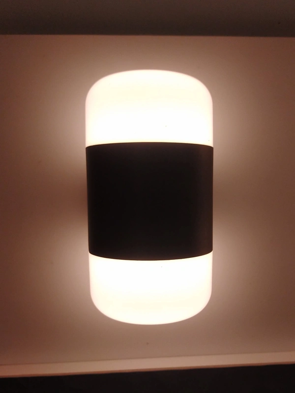 LX349B 12W Wall Decorative Led Light - B