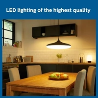 PHILIPS 9W e27 LED Bulb, Pack of 1 (Golden Yellow)