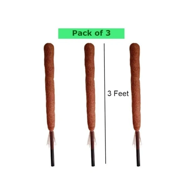 Fortune Cart Coco stick 3 feet (Pack of 3)