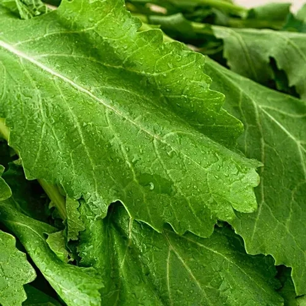 Mustard Leaves (Sarson Ka Saag) - 250g-300g