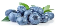 BLUEBEERY