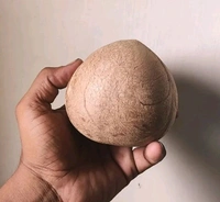 Dry Coconut/SUKHA Gola ( Dry Copra ), 1 Pcs (130-150 g)