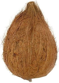 Coconut / Pooja Coconut