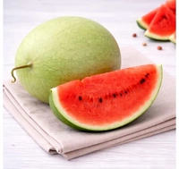 Saraswati Watermelon