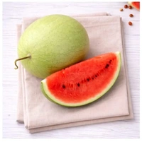 Saraswati Watermelon