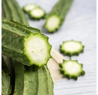 Ridge Gourd /Sarputiya Taraoi