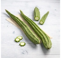 Ridge Gourd /Sarputiya Taraoi