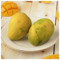 Mango Safeda