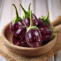 Brinjal Purple / Baigan