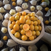 Cape Gooseberry (Rasbhari)