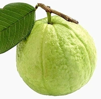 Guava / Amrood