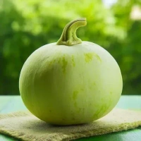 Round Bottle Gourd/Gol Lauki