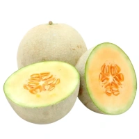 Muskmelon/ Kharbuja 1 pcs