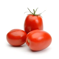 Tomato Hybrid / Tamatar