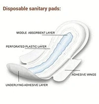 Extra Care sanitary pad best pads 100pc large Sanitary Towels (Pad) (Pack of 100) - XXXL, Terracotta