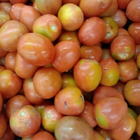 Hybrid Premium Tomato (Gravy Mix Size) 1kg - 1kg