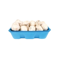 Mushroom Button (Medium Quality) - 1kg