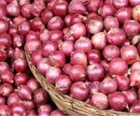 छोटा प्याज, Small Size Pyaj, Onion Sabji Sb O - 1kg