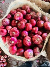 छोटा प्याज, Small Size Pyaj, Onion Sabji Sb O - 1kg