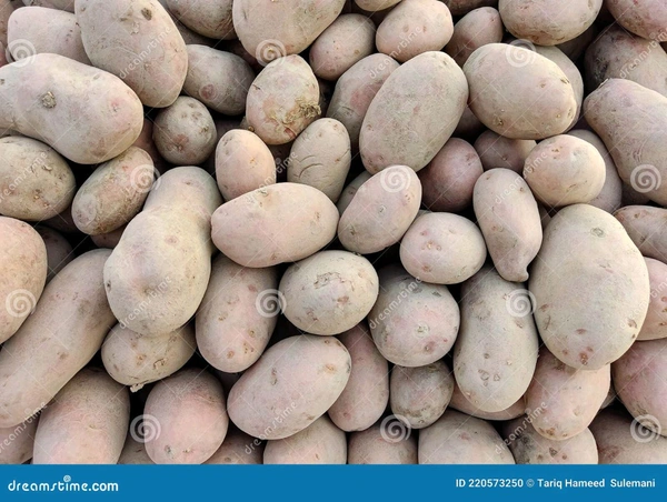 आलू सदा, Aalu Sada, Sabji  - 1 Kg