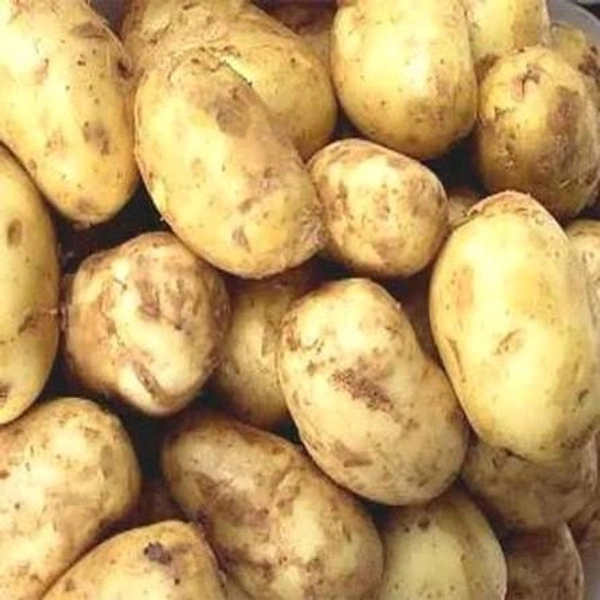आलू सदा, Aalu Sada, Sabji  - 1 Kg