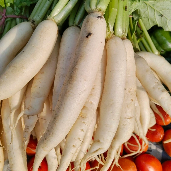 मूली सब्जी Muli Sabji Sb