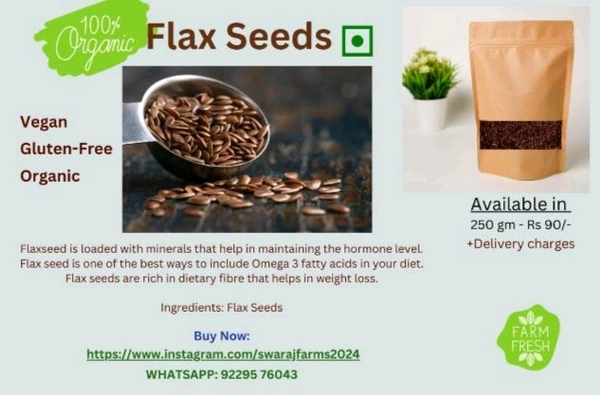 Organic Flaxseed 200gm 1 Packet
