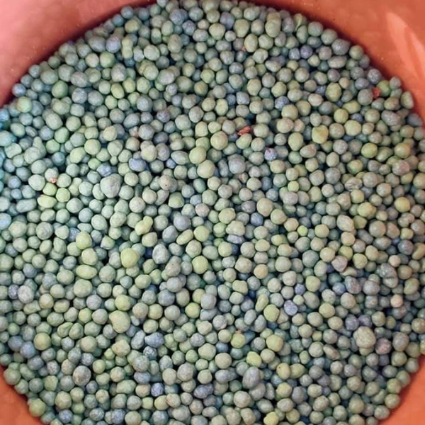 BASACOTE 1KG AND 250GRM COMPANY PACk 13-5-18(+2) - 250 Grm