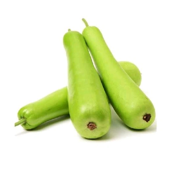 Bottle Gourd (লাও) - Lao - 2 PCS