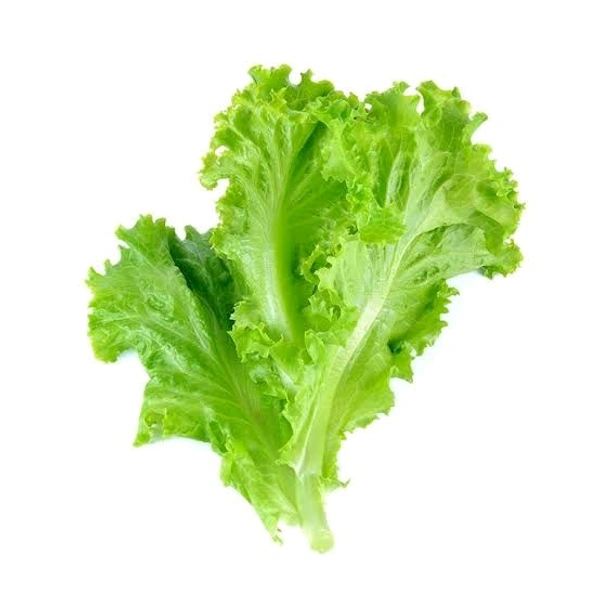 Fresh Lettuce Green - 500gm